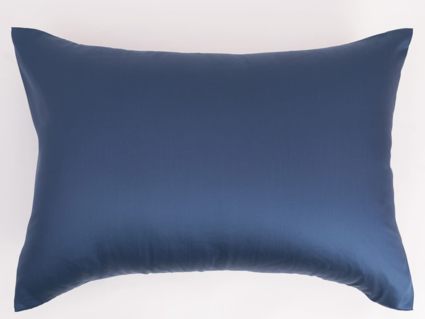 Наволочка German Grass Blue Brilliant Grass (2 шт.) 497